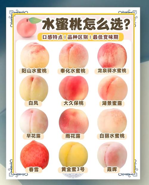 水蜜桃口味饮料_水蜜桃口味清新剂好用吗_清甜爽口水蜜桃汁​
