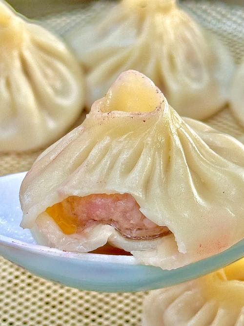 秘制鲜肉汤包_鲜肉汤包馅料的做法窍门_皮薄馅大鲜肉汤包​