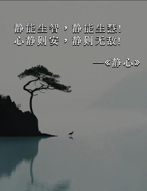 都怪我不该沉默时沉默_我本沉默_毁灭之史2017本沉默