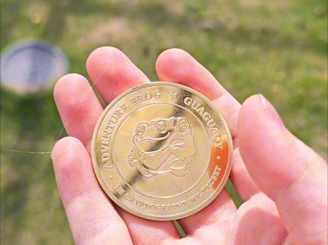 金币月卡有什么用_金币月卡天宝声望_1.70金币月卡